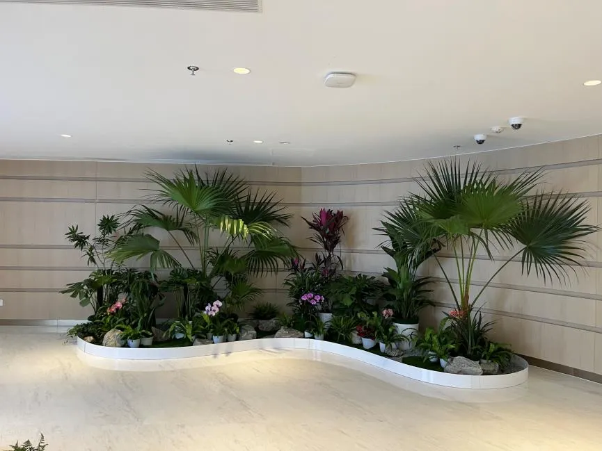 宁波北仑花卉租摆价格实惠 宁波北仑花卉租摆价格实惠